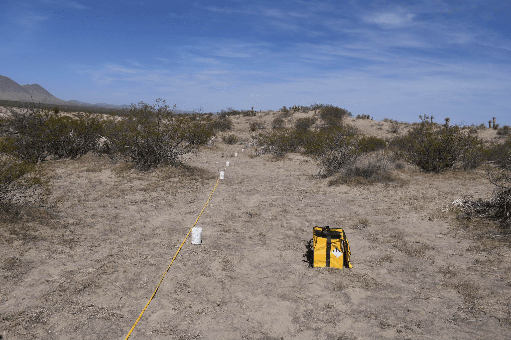 Seismometers laid out across the Potrillo Volcanic Field