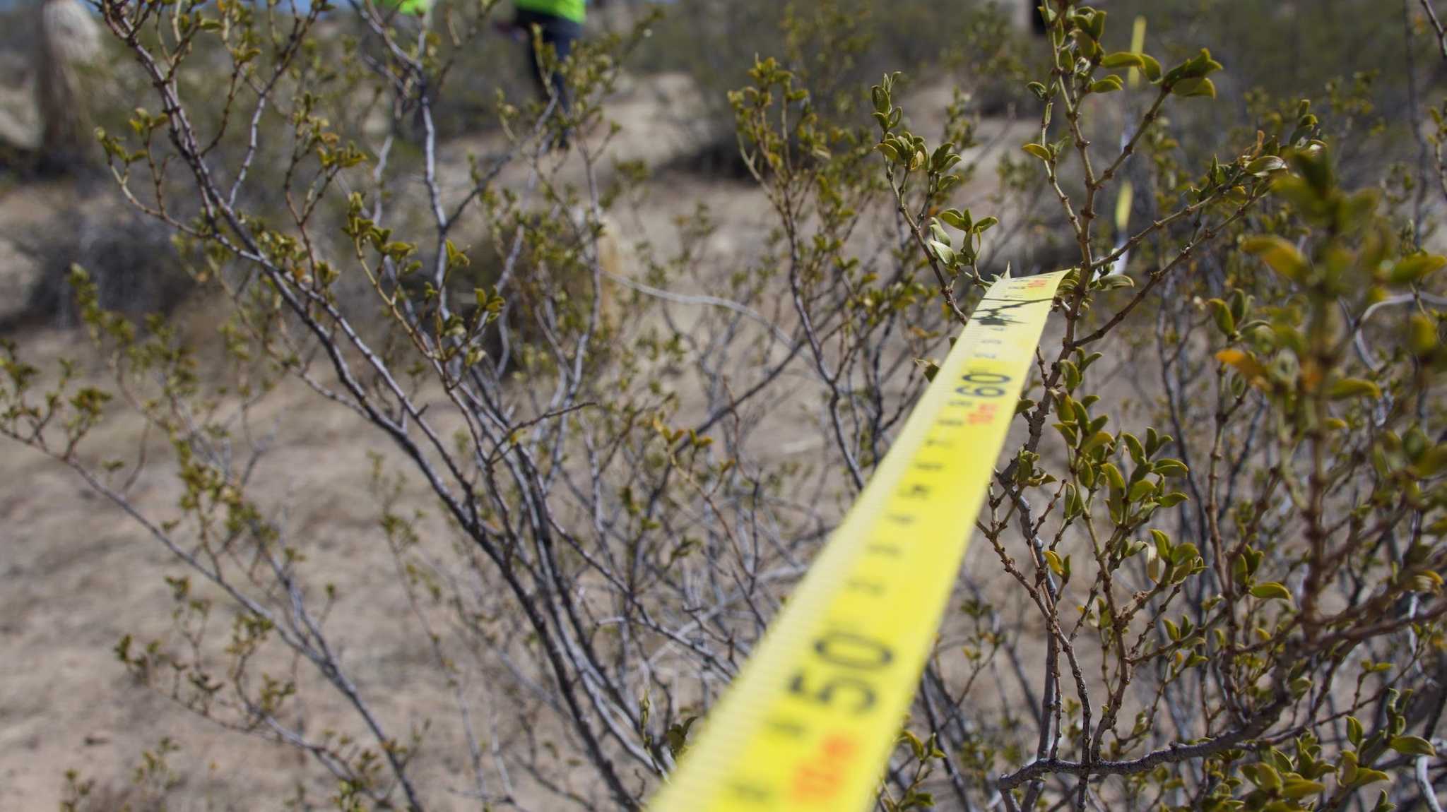 The GEODES team lays out a measuring tape in preparation for seismic testing.